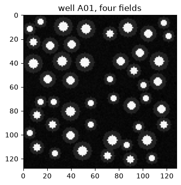 ../_images/981e1e40f6715db2ca097353bcadf3ef6fade0d312ee21949b1c898089d118bb.png